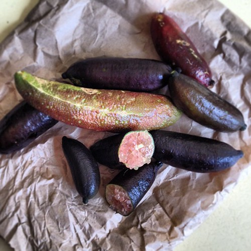 Finger Limes #bushtucker #australia #native from @nearriverproduc @vanityfare1