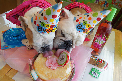 Licking Good Birthday Party