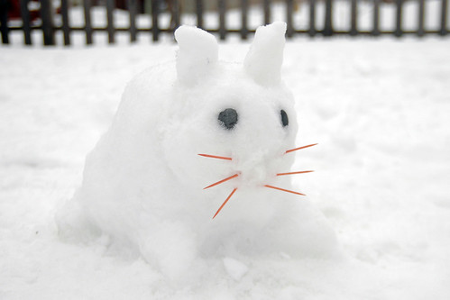odin's snow bunny.