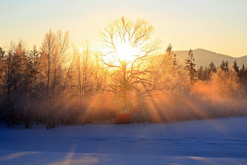 Strahlende Morgensonne / bright morning sun by Martin Fischhaber