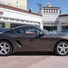 2011 Porsche Cayman PDK Macadamia on Beige in Beverly Hills @porscheconnection 1045