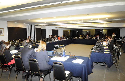 Group of Experts Meets at the OAS to Discuss Model Legislation on Firearms