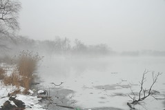 Fog @ Prospect Park 2013-02-11