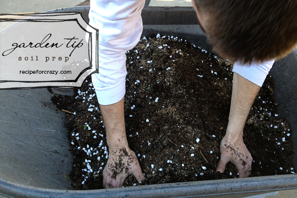 prepping your soil for food gardening