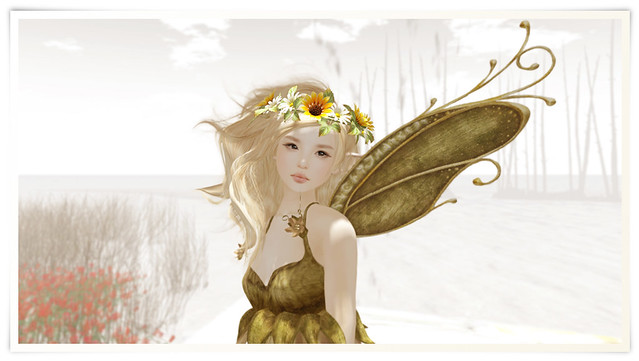 fairy05
