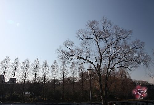 大阪城公園1