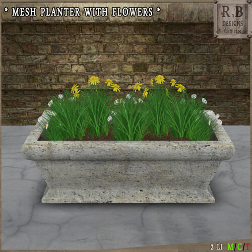 _RnB_ Mesh Planter with Flowers - Daisies (copy)