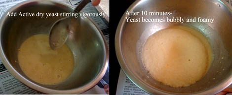 yeast proofing 