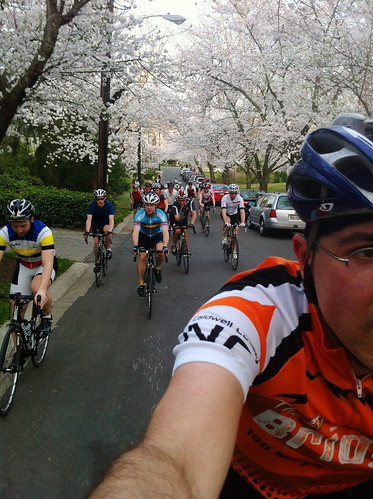 Riding through the canopy of cherry blossoms with the gang