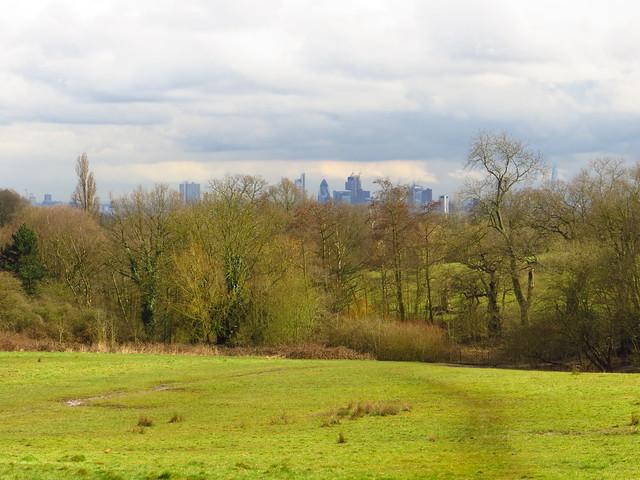 London seen from the Ladies Pond Meadow