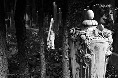 jewish cemetery...