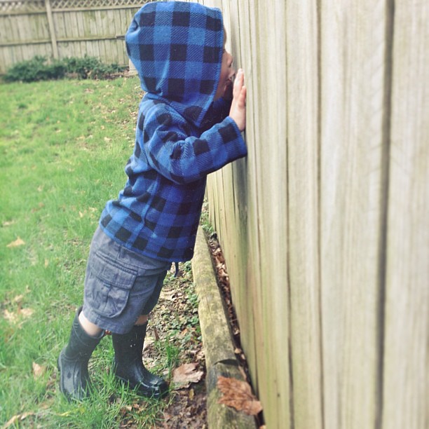 Peeking through fence holes, looking for treasures. #childhood #fmsphotoaday