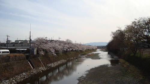 2013/04 松ヶ崎橋
