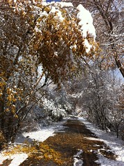 November 10, 2012 b (Provo River Trail/Rock Canyon)