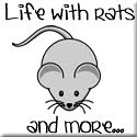 My Life With Rats and More