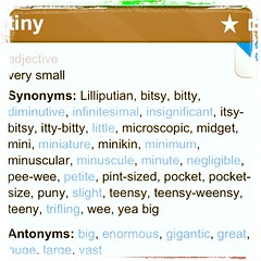 9 Tiny