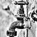Old Outdoor Tap - Black and White