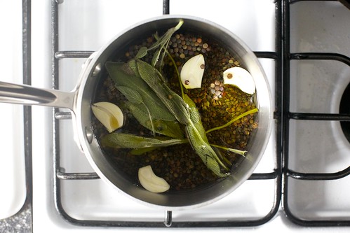 cooking lentils de puy with sage, garlic