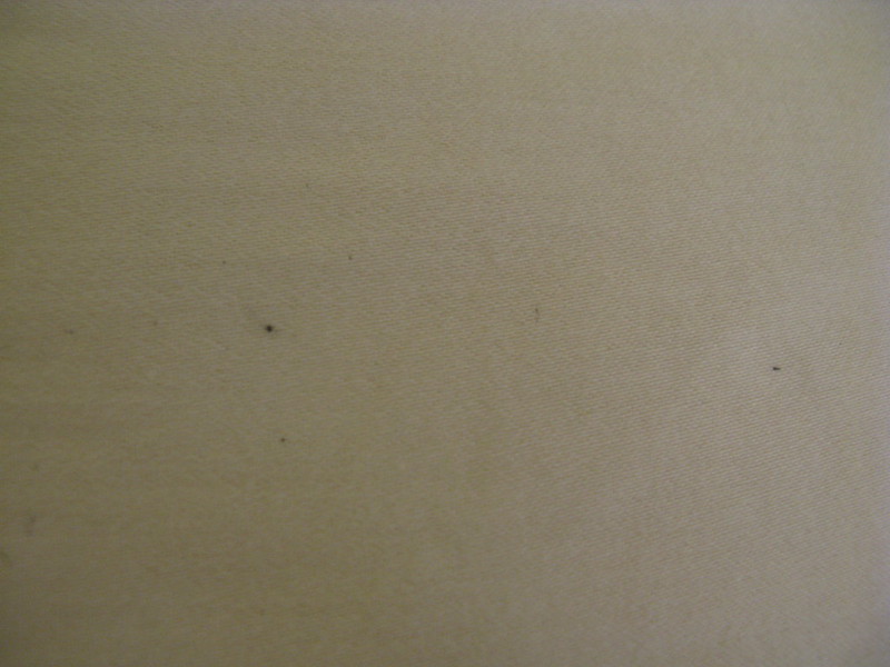 Black spots on pillow- fecal? (Pic included) Â« Got Bed Bugs ...