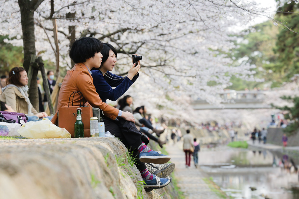 Стильные японцы под цветущей сакурой и сакура над рекой Nishinomiya-shi, Hyogo Prefecture, Japan, 0.003 sec (1/400), f/7.1, 166 mm, EF70-300mm f/4-5.6L IS USM