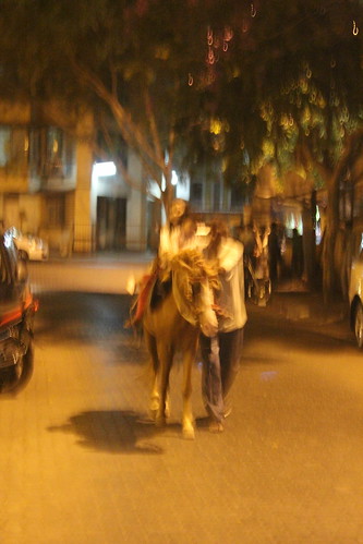 Nerjis And Marziya Horse  Ride Almeida Park Bandra by firoze shakir photographerno1