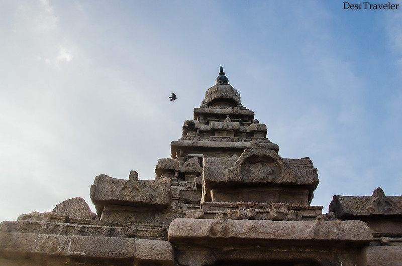 bird flying over shikhar or top of shore temple Mamallapuram