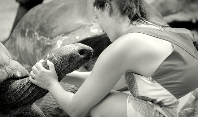 Lucky tortoise...such affections