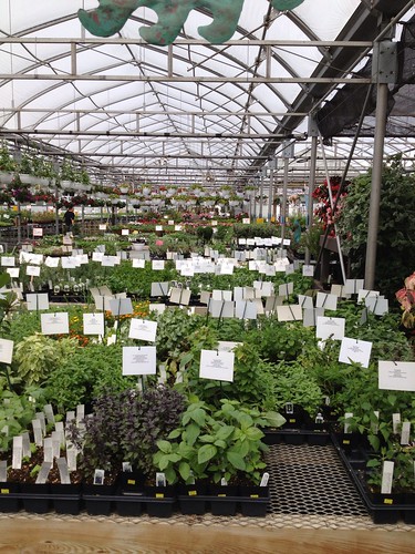 Bench's Greenhouse