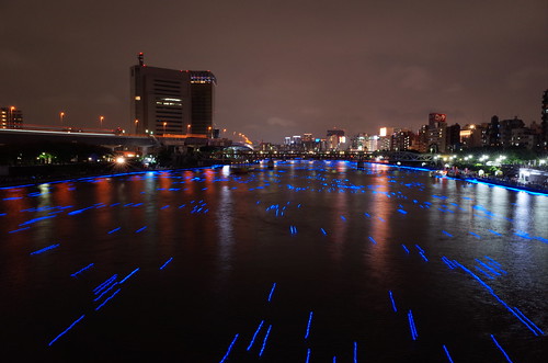 Tokyo Hotaru Light Symphony 2013-31