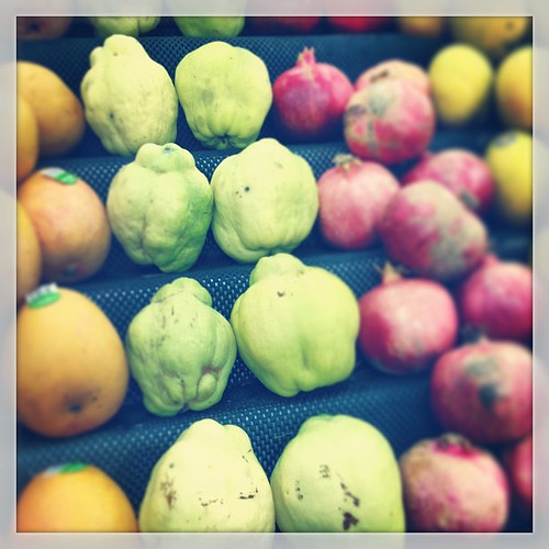 Look what we've been playing with... #quince #autumn #sydney