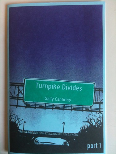 Turpike Divides by Sally Cantirino