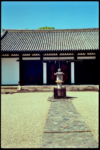 Spectacle of Shinyakushi-ji Temple.