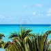 #Wild #Exotic #Blue #Paradise - #Indian #Ocean #Seascape in #Mauritius