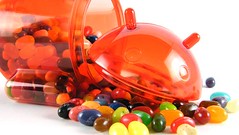 Jelly Bean is still alive: Google working on Android 4.3 - The Android Free