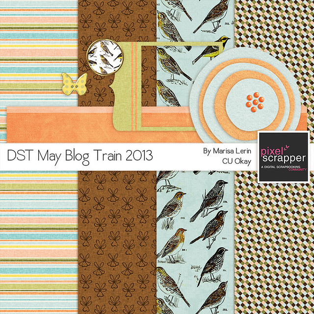 DST May Blog Train by Marisa Lerin