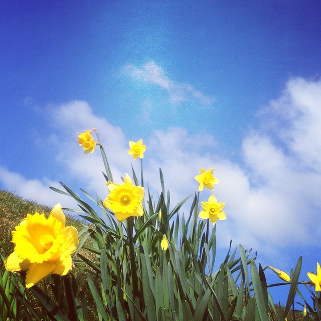 Springtime in Wales