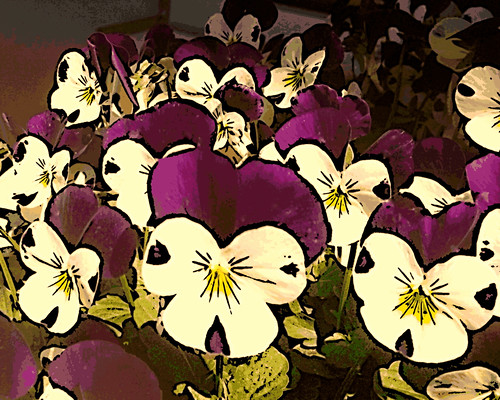 Sweet Violas (Digital Woodcut) by randubnick