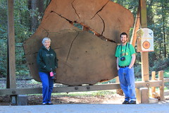 Henry Cowell Redwoods State Park, CA 4-14-13