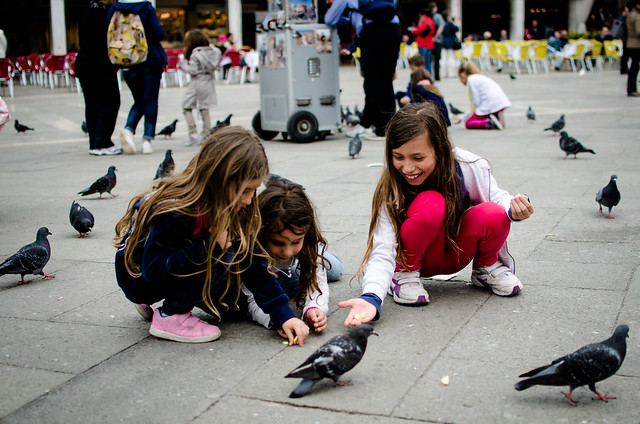 Children feeding pigeons in St. Mark's Square.
