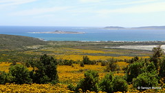 Spectacular views from the West Coast National Park