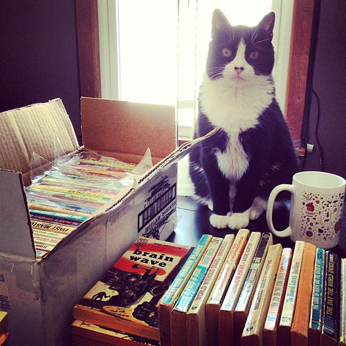 Oliver is collecting vintage sci-fi books. Oh, the hobbies #cats have... #books
