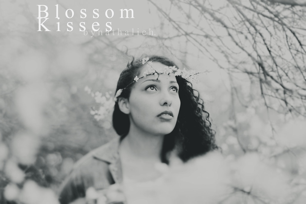 Blossom Kisses Series