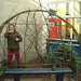 making a willow arbour
