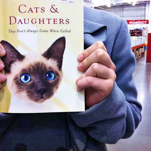 For my husband's love of cats... {cough}