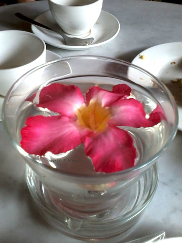 Bunga Kamboja  at Breakfast Jaykarta Hotel