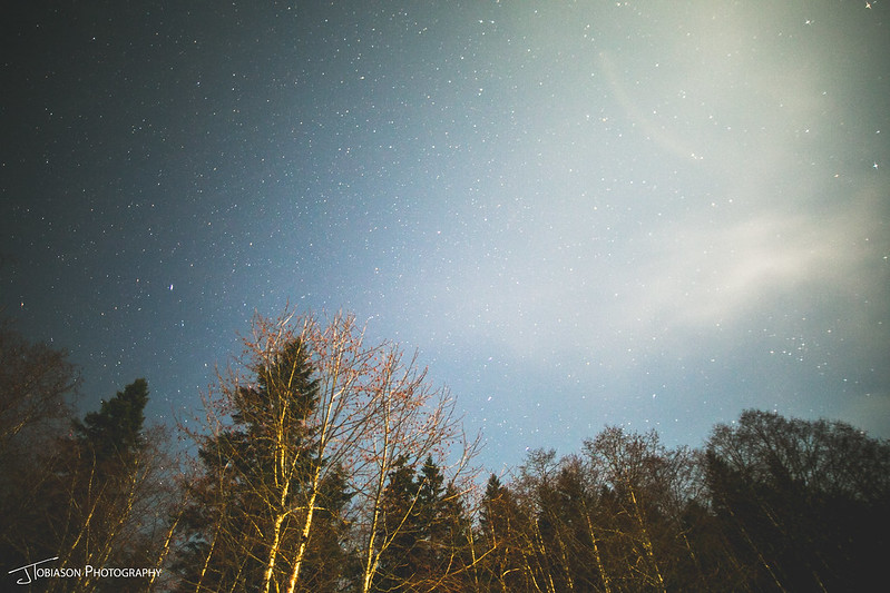 Stars over trees in cascades