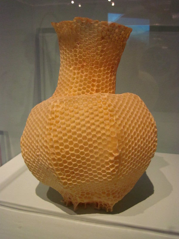 The Honeycomb Vase, a vase created by bees so it's covered in hexagonal cells of wax