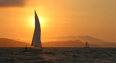 Sunset race on the Bay