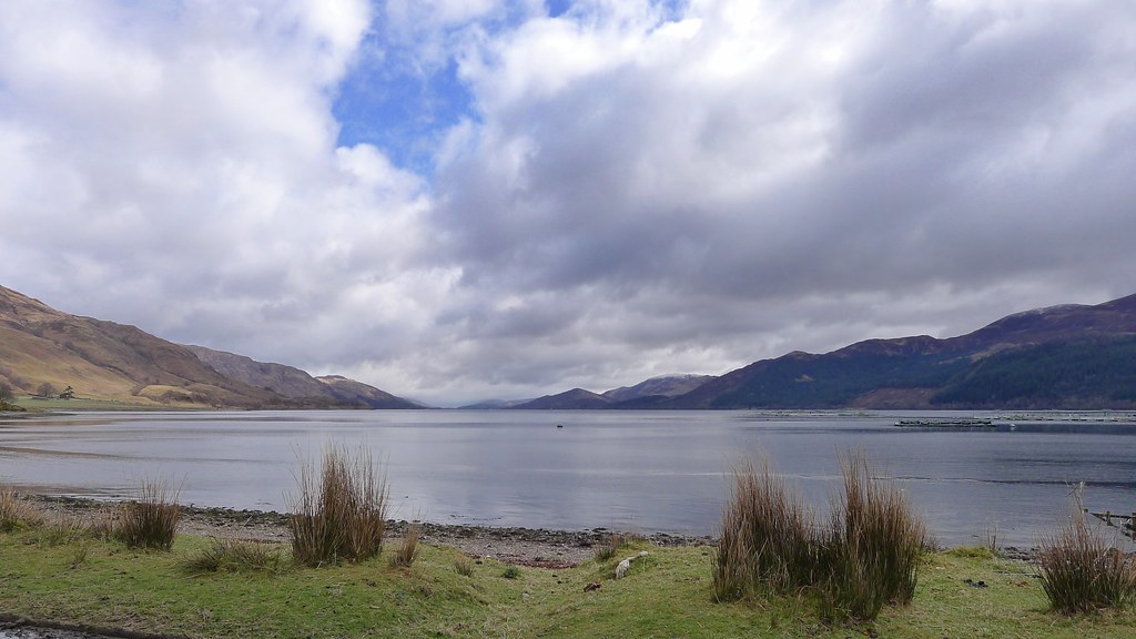 Loch Linnhe from Ardgour