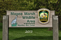 Magee Marsh 2013